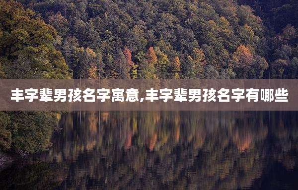 丰字辈男孩名字寓意,丰字辈男孩名字有哪些