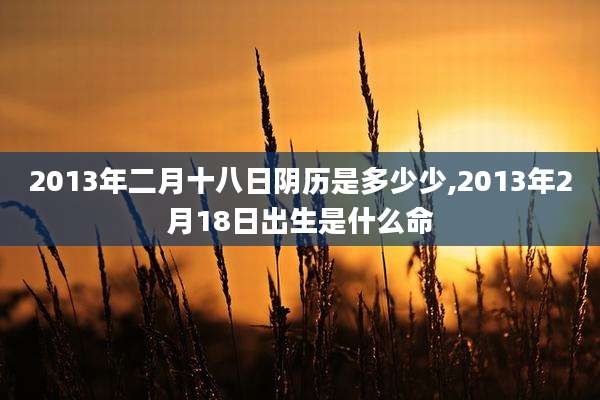 2013年二月十八日阴历是多少少,2013年2月18日出生是什么命