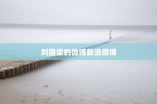 刘国梁的微博新浪微博
