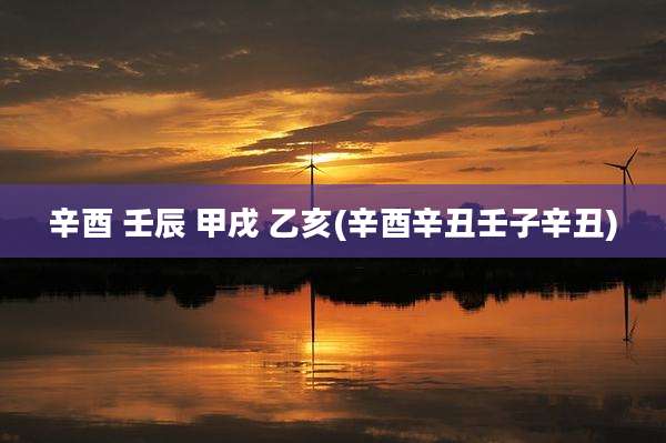 辛酉 壬辰 甲戌 乙亥(辛酉辛丑壬子辛丑)