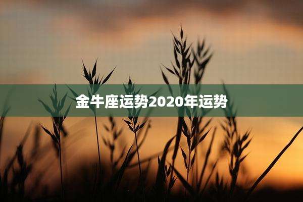 金牛座运势2020年运势