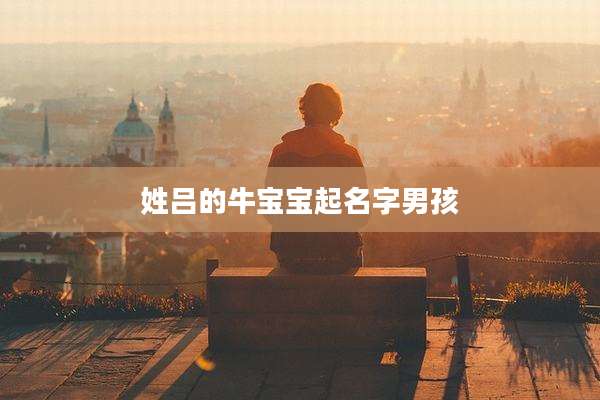 姓吕的牛宝宝起名字男孩