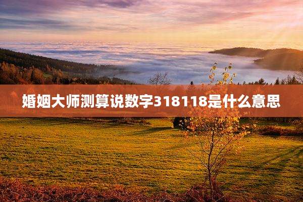 婚姻大师测算说数字318118是什么意思
