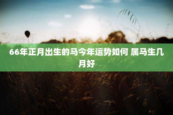 66年正月出生的马今年运势如何 属马生几月好
