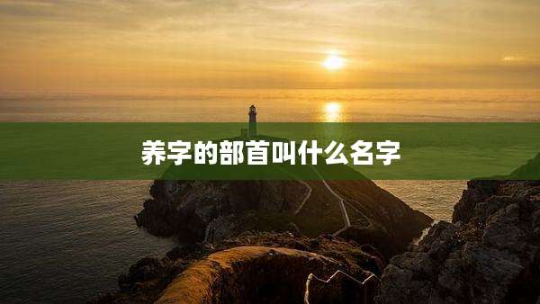 养字的部首叫什么名字