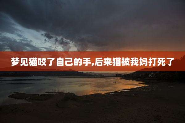 梦见猫咬了自己的手,后来猫被我妈打死了