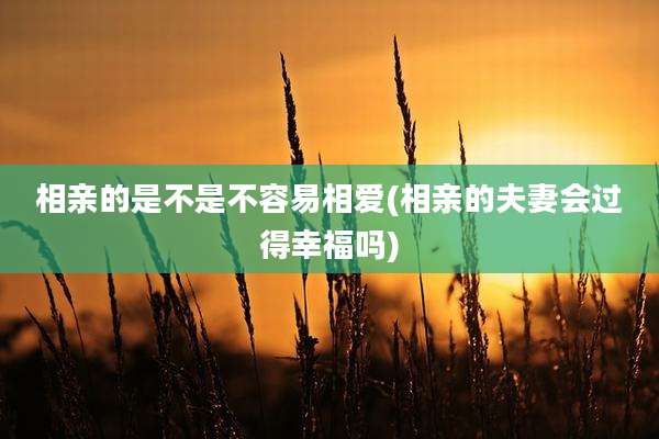 相亲的是不是不容易相爱(相亲的夫妻会过得幸福吗)