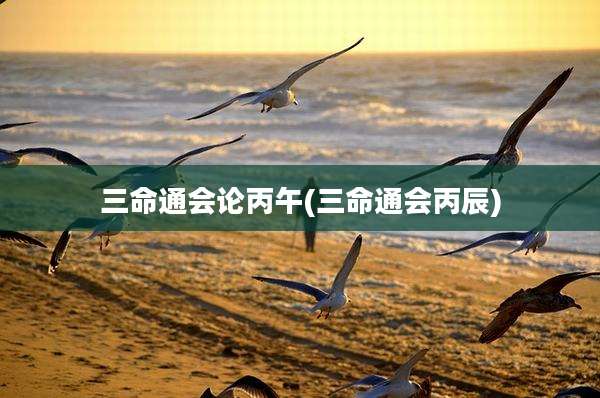 三命通会论丙午(三命通会丙辰)