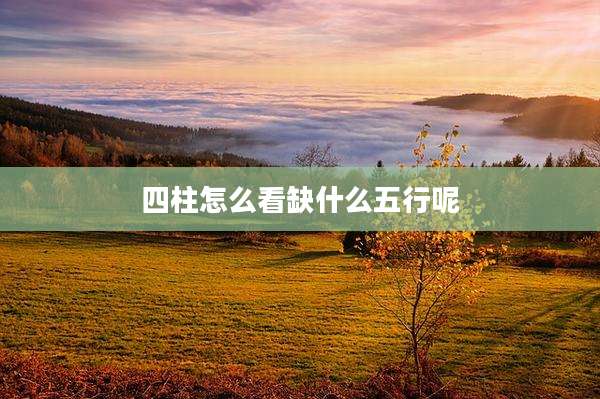 四柱怎么看缺什么五行呢