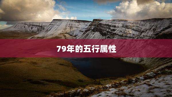 79年的五行属性