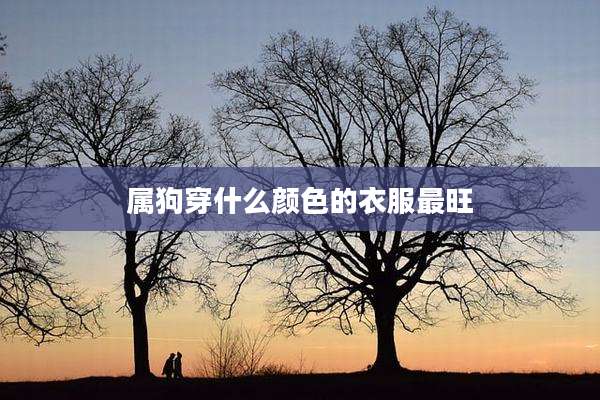 属狗穿什么颜色的衣服最旺