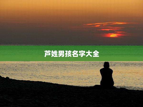 芦姓男孩名字大全