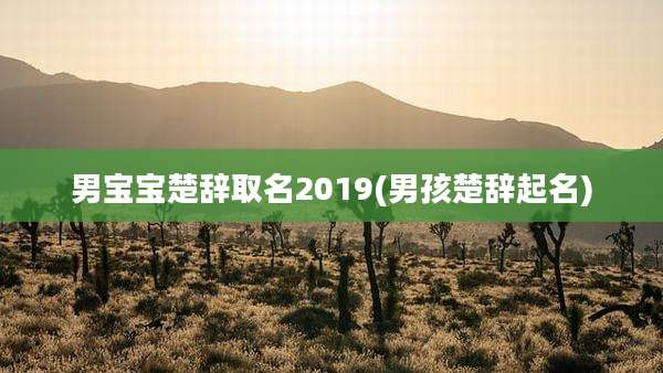 男宝宝楚辞取名2019(男孩楚辞起名)