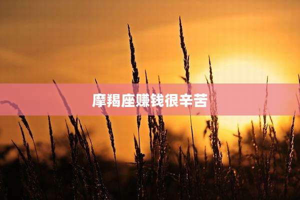 摩羯座赚钱很辛苦
