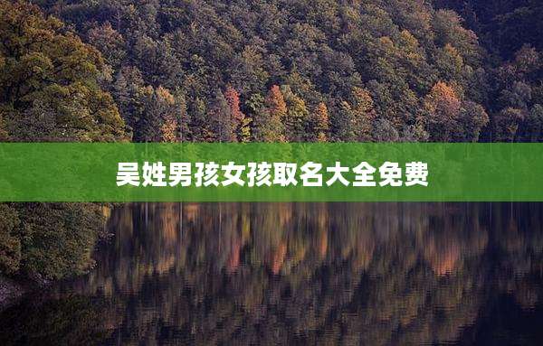 吴姓男孩女孩取名大全免费