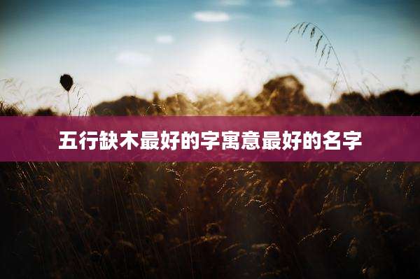 五行缺木最好的字寓意最好的名字