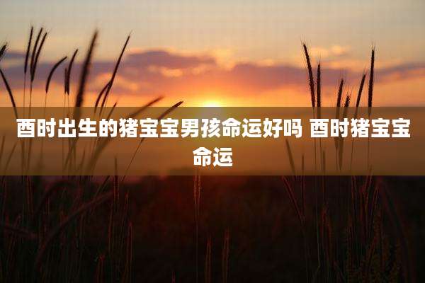 酉时出生的猪宝宝男孩命运好吗 酉时猪宝宝命运