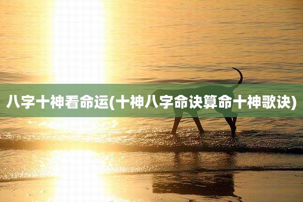 八字十神看命运(十神八字命诀算命十神歌诀)