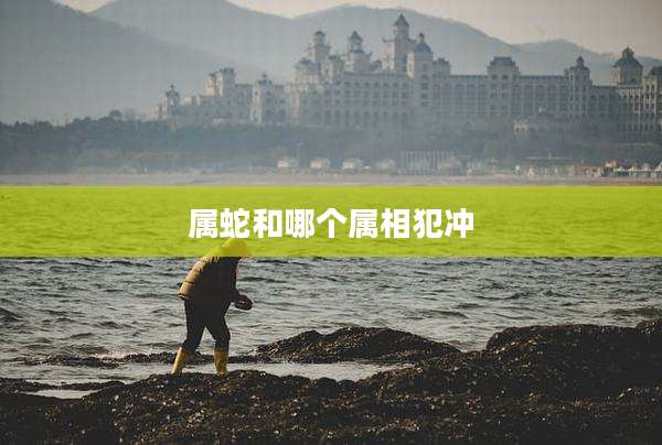 属蛇和哪个属相犯冲
