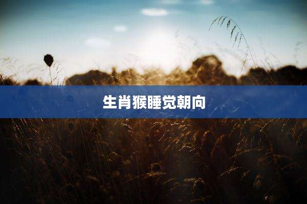 生肖猴睡觉朝向
