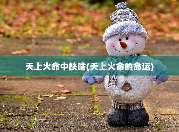 天上火命中缺啥(天上火命的命运)