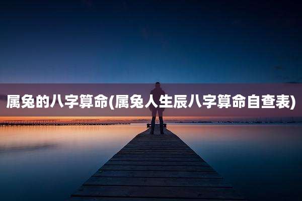属兔的八字算命(属兔人生辰八字算命自查表)