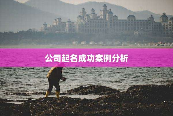 公司起名成功案例分析