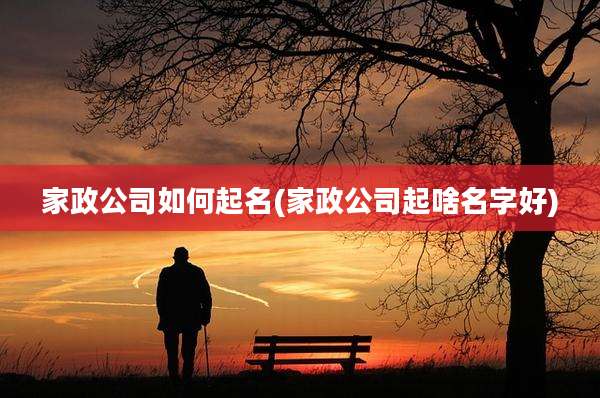家政公司如何起名(家政公司起啥名字好)