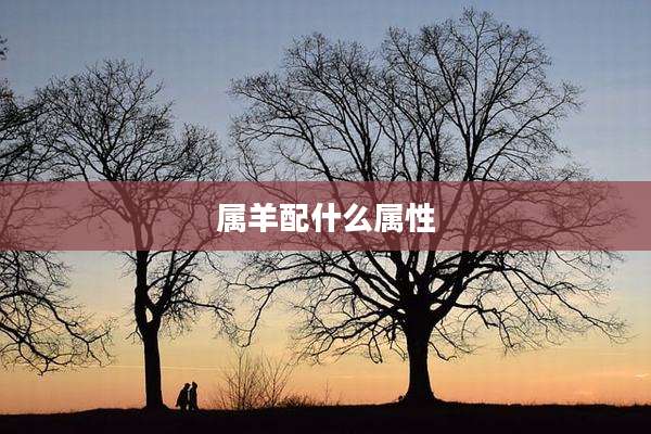 属羊配什么属性