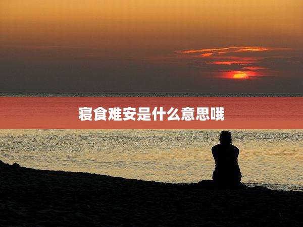 寝食难安是什么意思哦