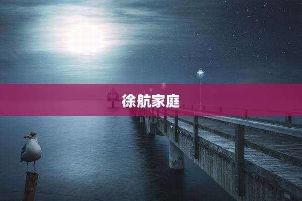 徐航家庭