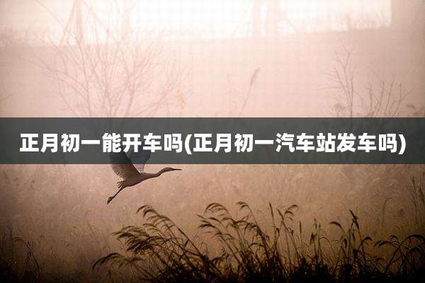 正月初一能开车吗(正月初一汽车站发车吗)