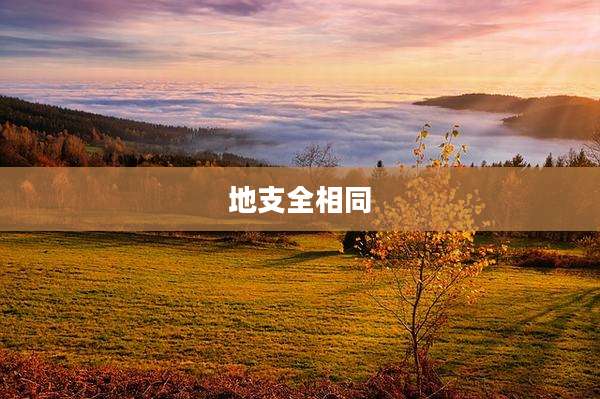 地支全相同