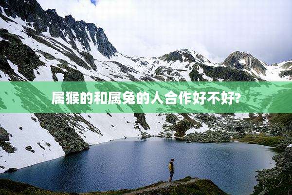 属猴的和属兔的人合作好不好?