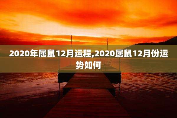 2020年属鼠12月运程,2020属鼠12月份运势如何