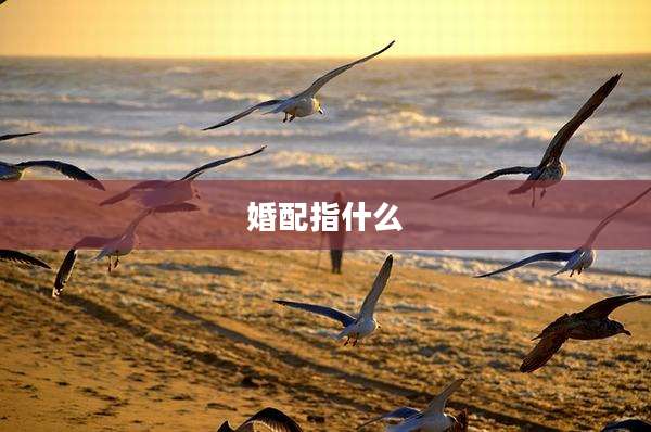 婚配指什么