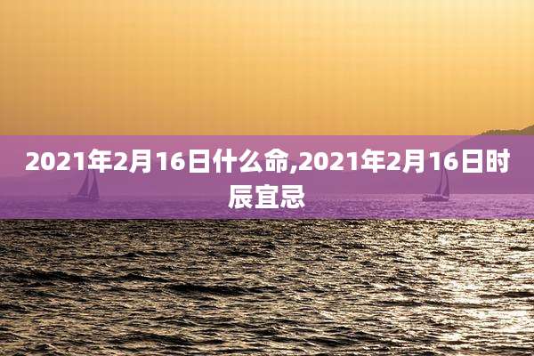 2021年2月16日什么命,2021年2月16日时辰宜忌
