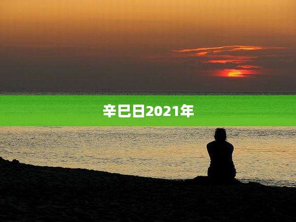 辛巳日2021年