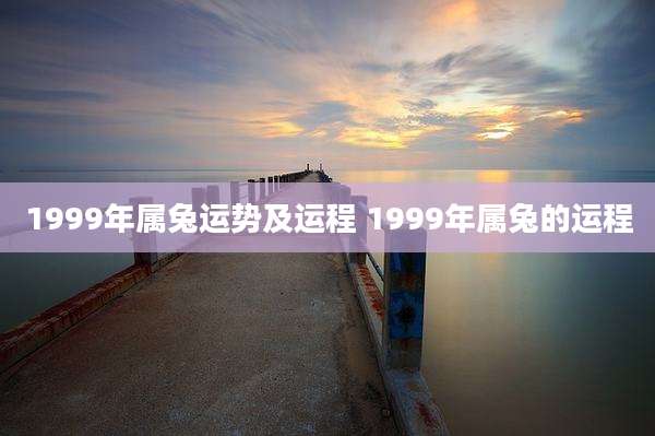 1999年属兔运势及运程 1999年属兔的运程