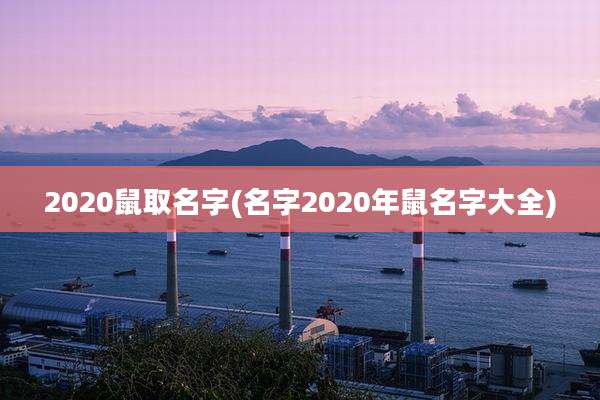 2020鼠取名字(名字2020年鼠名字大全)