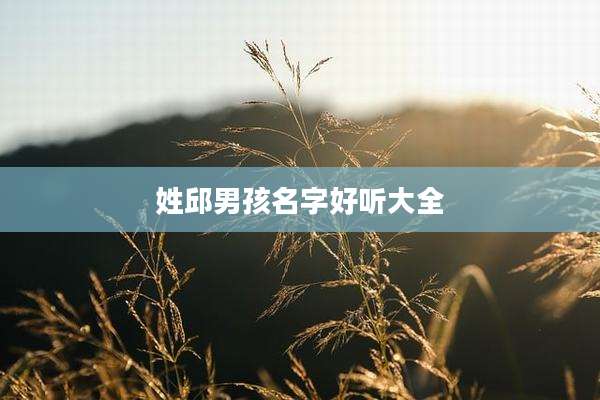 姓邱男孩名字好听大全