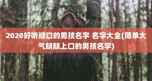 2020好听顺口的男孩名字 名字大全(简单大气朗朗上口的男孩名字)
