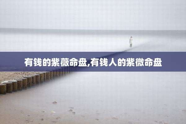 有钱的紫薇命盘,有钱人的紫微命盘