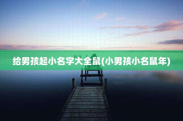 给男孩起小名字大全鼠(小男孩小名鼠年)