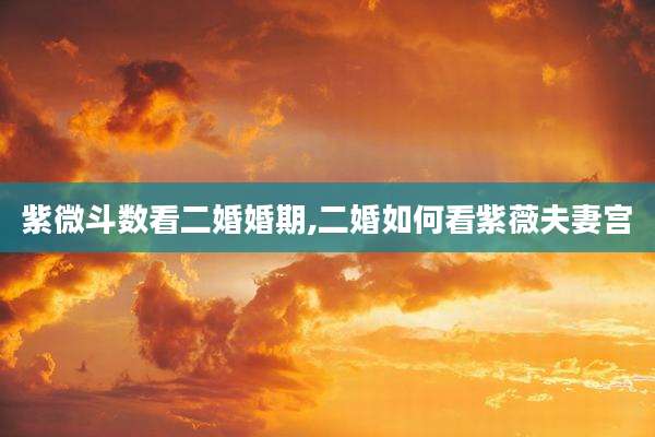 紫微斗数看二婚婚期,二婚如何看紫薇夫妻宫