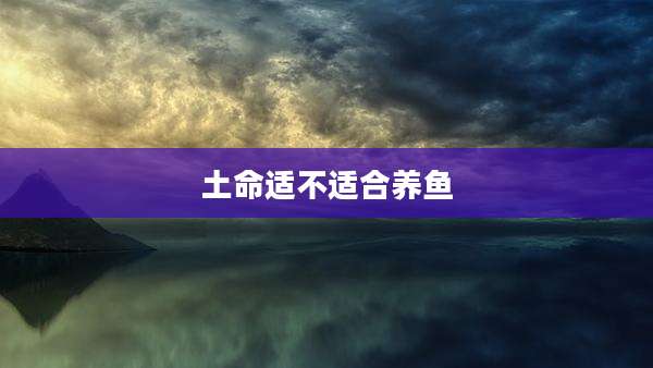 土命适不适合养鱼