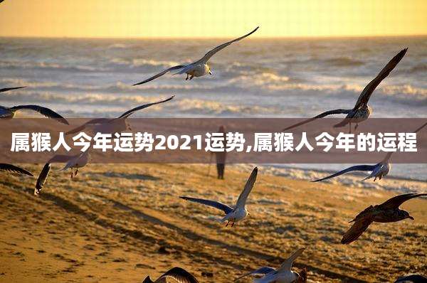 属猴人今年运势2021运势,属猴人今年的运程