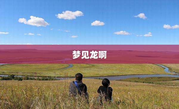 梦见龙啊
