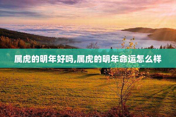 属虎的明年好吗,属虎的明年命运怎么样