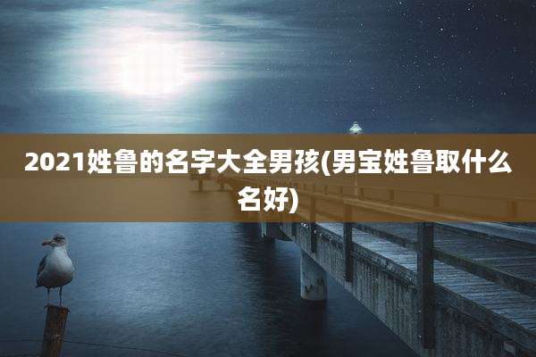2021姓鲁的名字大全男孩(男宝姓鲁取什么名好)